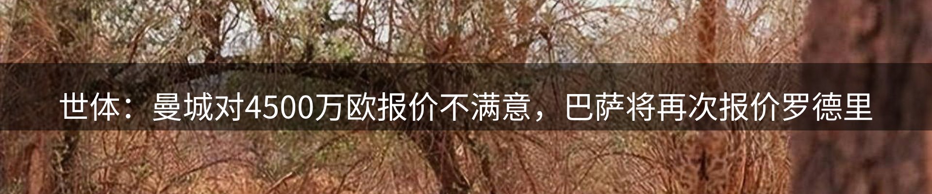 新闻动态