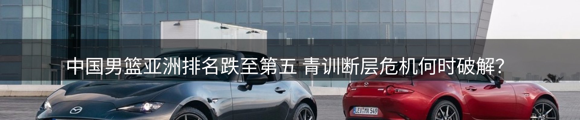 新闻动态