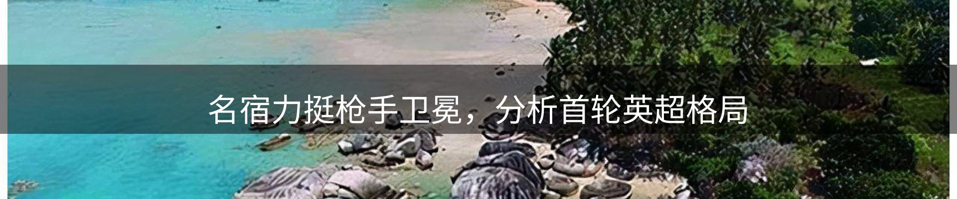新闻动态