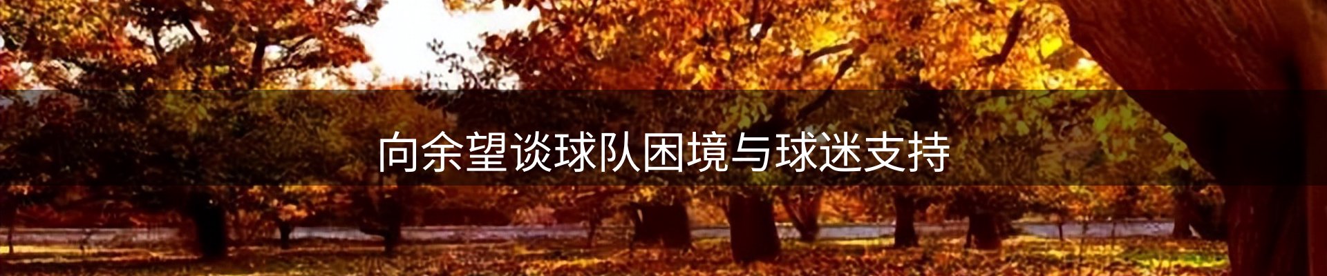 新闻动态