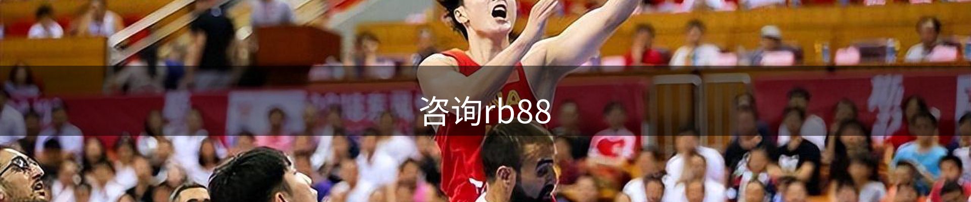 咨询rb88