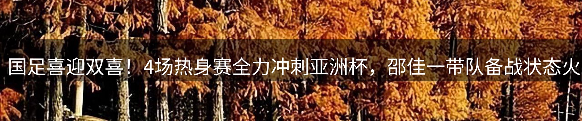 热点亮点