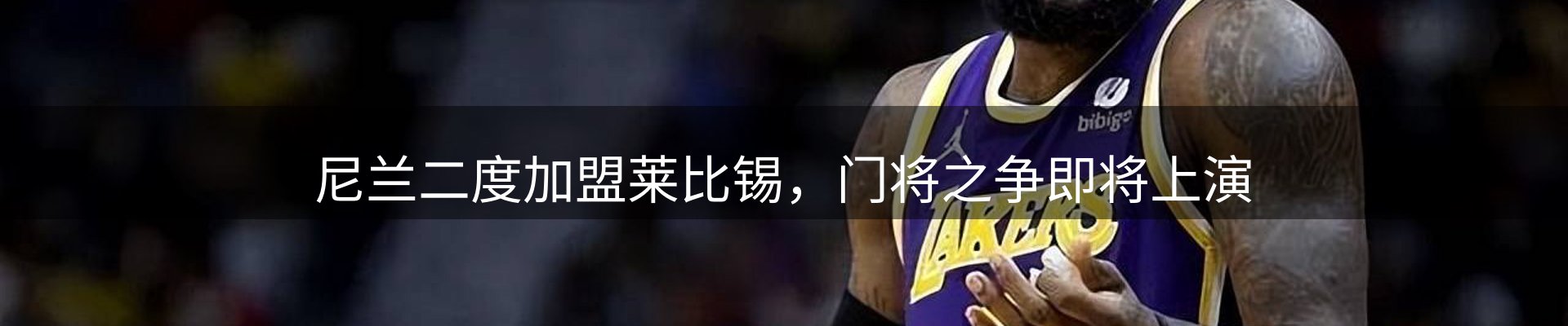 新闻动态