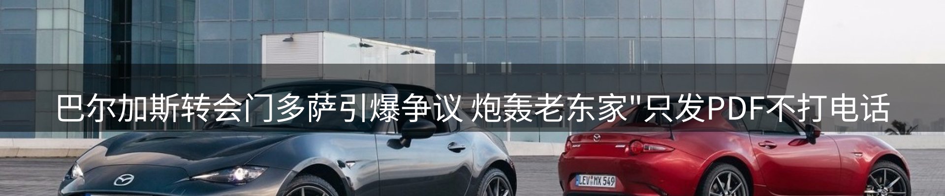 新闻动态