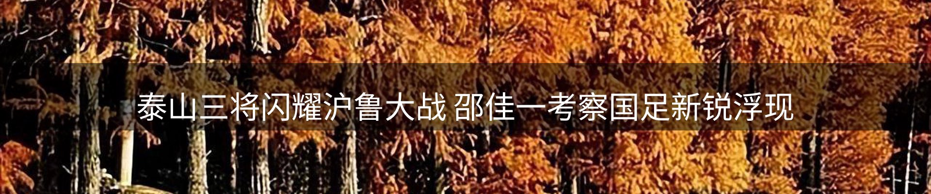 热点亮点