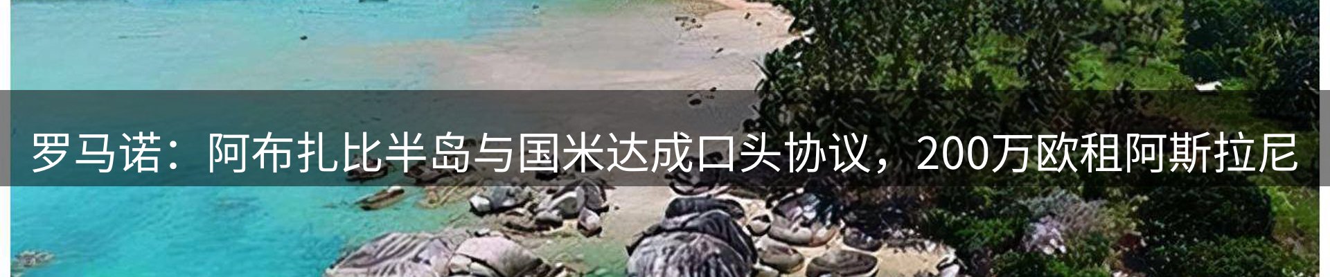新闻动态