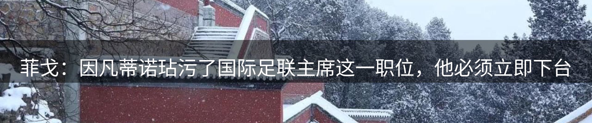 新闻动态