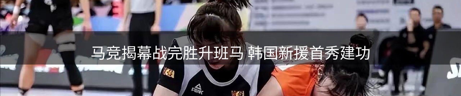 新闻动态